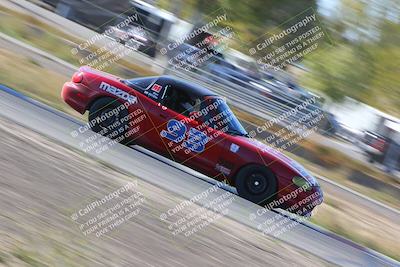 media/Oct-14-2023-CalClub SCCA (Sat) [[0628d965ec]]/Group 4/Race/